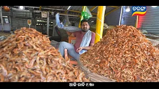 Kitchen Hungama | Season 2  | 29th Aug 2026 | Sat - Sun @9:30pm  | Tarang Tv | Tarang Plus