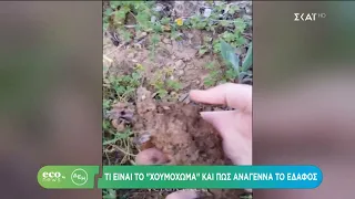ECO NEWS BY ΔΕΗ | Τι είναι το «χουμόχωμα» και πώς αναγεννά το έδαφος   | 10/09/2026