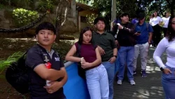 "Cima Camping" campaign for youth launched in Nicaragua
