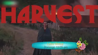 Film Letters