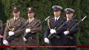 Od ove godine jedan protokol za Dan branitelja Vukovara i obljetnicu postrojavanja u Bogdanovcima