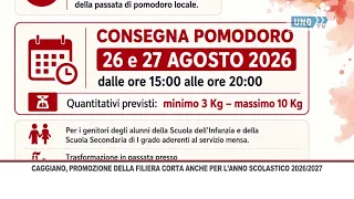 CAGGIANO MUNICIPALITY, SCHOOL LUNCH SERVICE