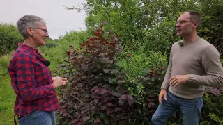 Hedge Care | "Gabi's Garden" with Gabi Pratz