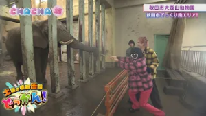 大森山動物園で動物たちと触れ合う☆「土曜の情報缶詰どっかん！」☆CHACHA旅☆2026年2月7日放送