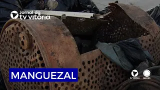 Students learn about the importance of preserving the mangroves of Vitória
