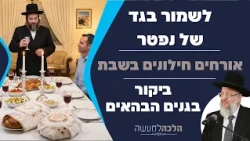 Keeping clothes of the deceased, how to host secular guests on Shabbat? Visiting the Bahá'í Garde...