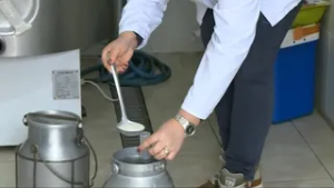 NSRS nije raspravljala o informaciji o stanju mljekarstva – 17.02.2026.