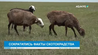 LIVESTOCK THEFT DECREASED