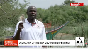 Специальный репортаж: Незаконный рыбный промысел процветает, рыбаки используют несанкционированны...