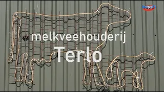 Bergeijk Senior Association visits Terlo dairy farm