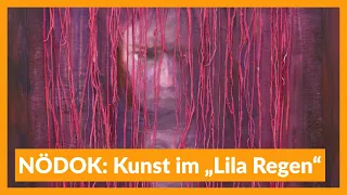 NÖDOK: Kunst im „Lila Regen“