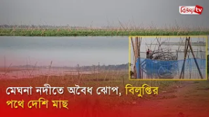মেঘনা নদীতে অবৈধ ঝোপ, বিলুপ্তির পথে দেশি মাছ | Bijoy TV