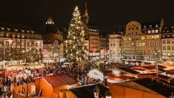Estrasburgo instala su gran árbol de Navidad pese a los temores de disturbios