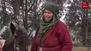 أول  قفّة في سيدي رمضان… فرحة كبيرة لمرّا  تخدم في الفلاحة