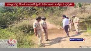 Forest Officials On High Alert As Tiger Enters Nizamabad District | V6 News
