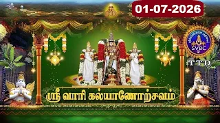 Srivari Kalyanotsavam || Tirumala || 01-07-2026 || SVBC2 Tamil  || SVBC TTD