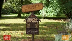 WWF ed educazione ambientale nelle scuole