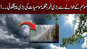 Weather Department’s Big Forecast - Latest Weather Updates | City 41