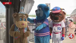 Erie County Fair interview: Lily the lamb and Fair Bear's birthday