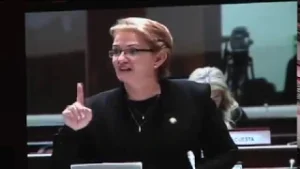 Comisión Investigación Norma Vallejo