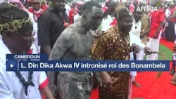 Le Dr Louis Din Dika Akwa IV installé roi de la dynastie des Bonambela