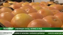 УЧИЛИЩЕН ПЛОД, МЛЯКО И МЕД: Как децата приемат храната по училищните схеми
