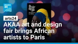 AKAA art and design fair brings African artists to Paris • FRANCE 24 English