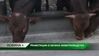Новина плюс: Инвестиции в зелено животновъдство