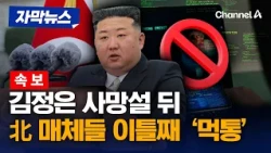 [속보] 北 매체들 이틀째 먹통…사이버 공격 가능성 [자막뉴스] / 채널A
