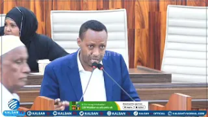 Депутат Мохамед Али: «Я считаю, что парламент этой страны по ошибке пришел в упадок».