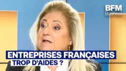 "Les entreprises sont droguées aux aides publiques " (Hedwige Chevrillon)