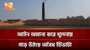 আইন অমান্য করে খুলনায় গড়ে উঠছে অবৈধ ইটভাটা | Mohona TV