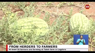Garissa pastoralists turn to farming