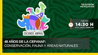 48 Years of CEPANAF: Conservation, Wildlife, and Natural Areas | Zacango Animal | 08/13/2026