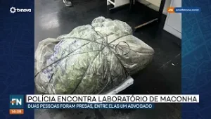 Polícia descobre laboratório de maconha e prende duas pessoas, entre elas um advogado  | #FatoNovo