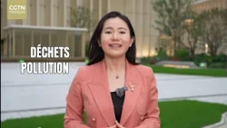 12345: The number transforming Beijing's governance