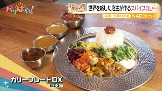 [Akira Okazawa's Station-Front Eatery] Spice Curry "NADO" Crafted by a World-Traveling Chef | JR ...