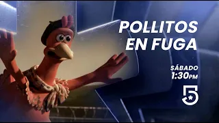 ¡VUELA DE LA RISA este SÁBADO!