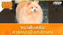 'หมาฟันเหยิน' สวยแบบมีเอกลักษณ์ | แซ่บทูเดย์