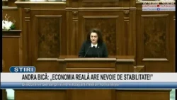 ANDRA BICĂ: "THE REAL ECONOMY NEEDS STABILITY!"