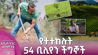 የተተከሉት 54 ቢሊየን ችግኞች፣ ነሐሴ 02, 2018 What's New Aug 08, 2026