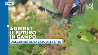Agrinet, Monday to Saturday at 5:30 PM on TV2000
