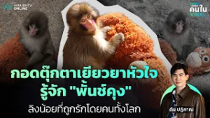 กอดตุ๊กตาเยียวยาหัวใจ รู้จัก "พั้นช์คุง" ลิงน้อยที่ถูกรักโดยคนทั้งโลก| คนใน Viral