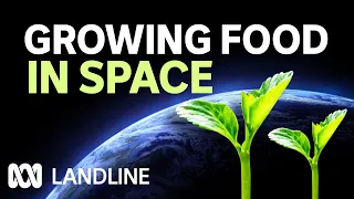 Scientists researching crops for space exploration are also boosting crop yields on earth | Landline