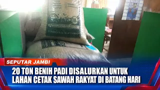 20 TONS OF RICE SEEDS DISTRIBUTED FOR PUBLIC FARMLAND PROGRAM IN BATANGHARI