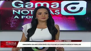 Copia de GAMANOTICIAS  /  A FONDO  /  10/2/2026