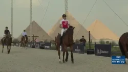 What's Trending: Horse show jumping debuts at Egypt's Giza pyramids