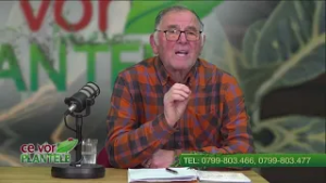 Ierbicidarea in solar  Cristina Ghibu si Horia Ghibu