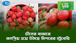 চীনের বাজারে জনপ্রিয় হয়ে উঠছে মিশরের স্ট্রবেরি | Sobuj Prithibe Clips | Rtv