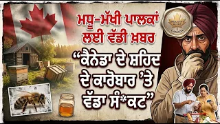 ਮਧੂ-ਮੱਖੀ ਪਾਲਕਾਂ ਲਈ ਵੱਡੀ ਖ਼ਬਰ“ਕੈਨੇਡਾ ਦੇ ਸ਼ਹਿਦ ਦੇ ਕਾਰੋਬਾਰ ’ਤੇ ਵੱਡਾ ਸੰ*ਕਟ”